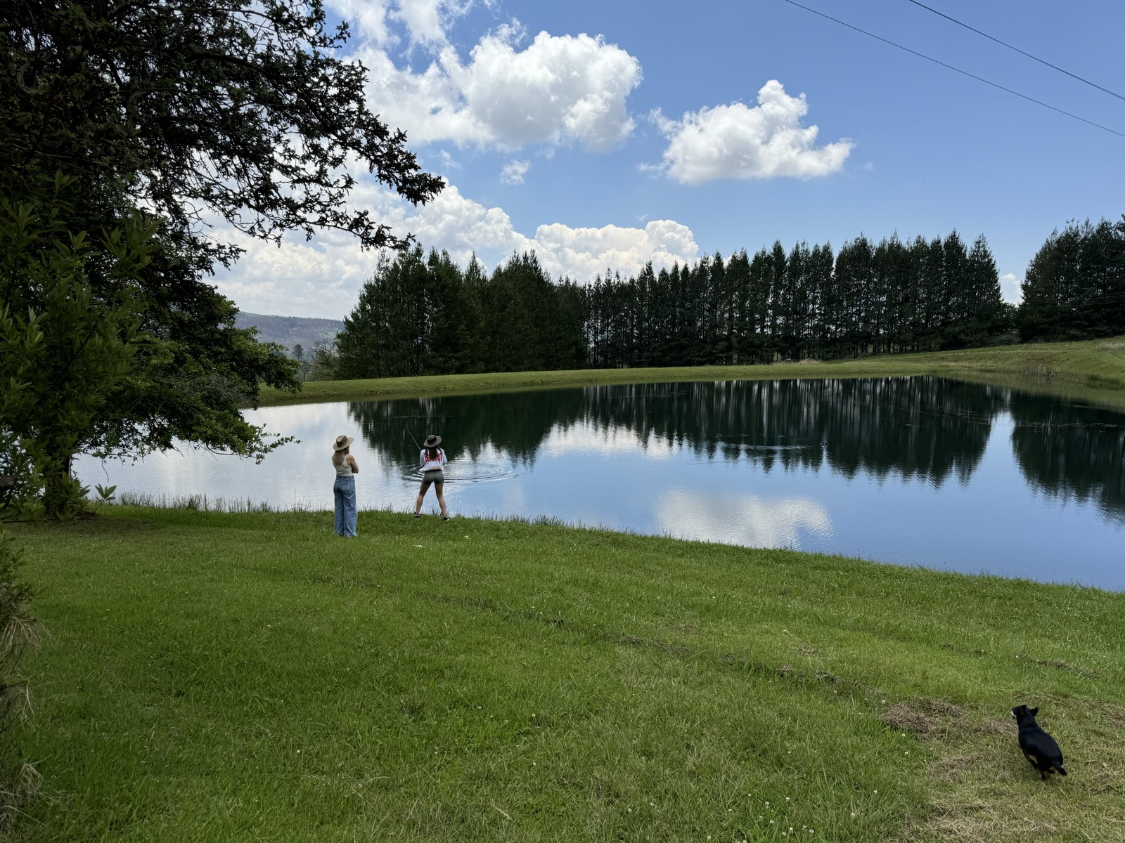 Trout fishing at the dam on a sunny day