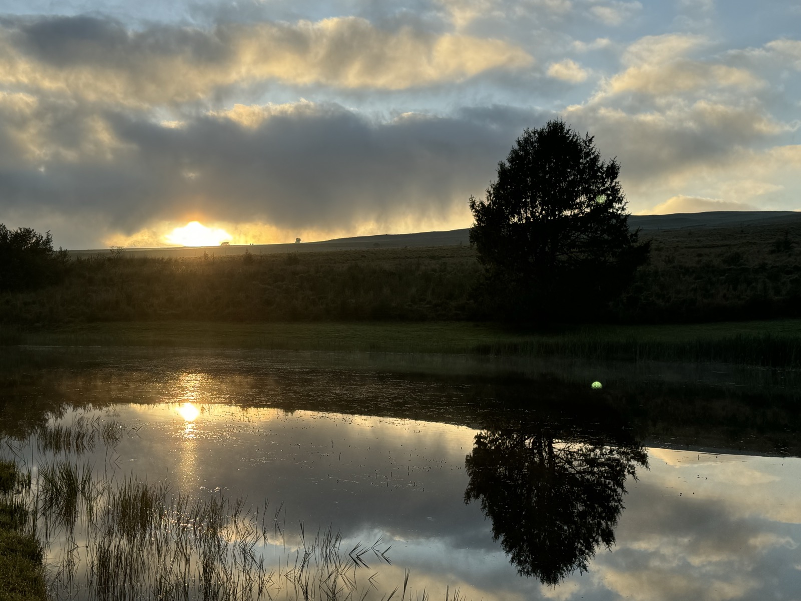 Golden sunset over the dam with silhouetted tree